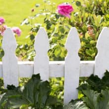 REALEstate Writing Letters to Sellers and Buyers