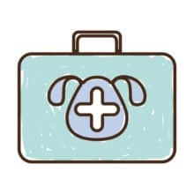 Awareness 2017 Canine Influenza Virus