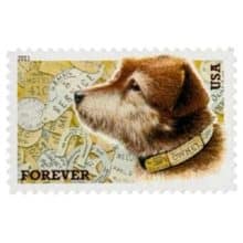 Owney Postal Dog Forever Stamp