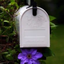 August Mailbox Letter Writing Follow-Up